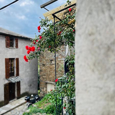 Tres Jolie Maison Aux Portes Du Cap Corse Sisco Екстер'єр фото